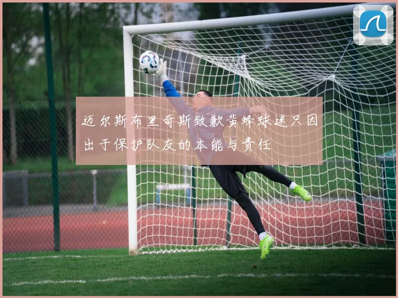 迈尔斯布里奇斯致歉黄蜂球迷只因出于保护队友的本能与责任