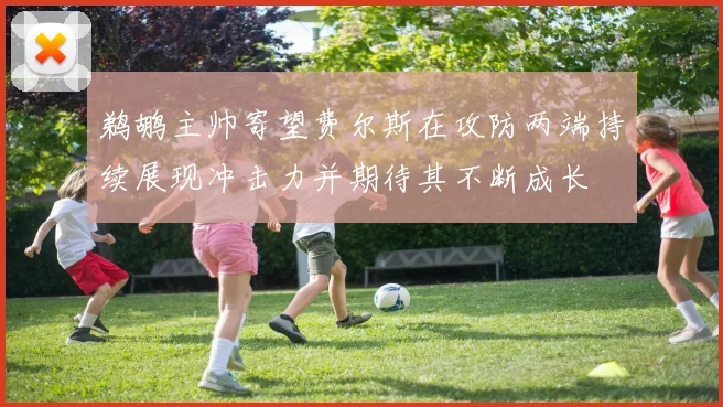 鹈鹕主帅寄望费尔斯在攻防两端持续展现冲击力并期待其不断成长