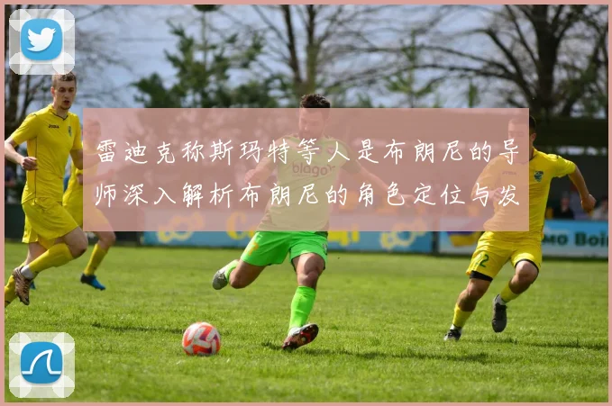 雷迪克称斯玛特等人是布朗尼的导师深入解析布朗尼的角色定位与发展方向