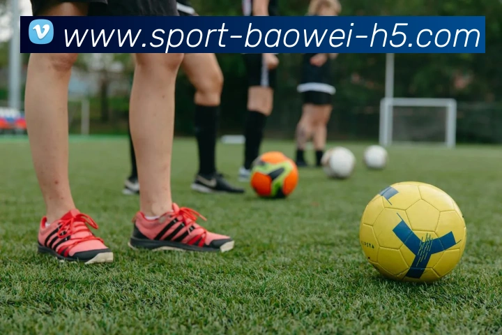 宝威体育发展历程